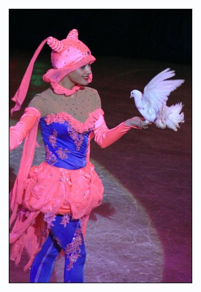 Juggling trained pigeons.