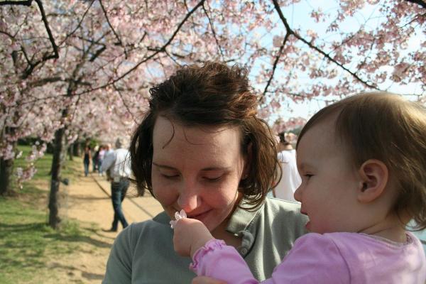 Audrey picked a blossom and wanted Laura to smell it.  Either that or eat it.  It's hard to tell sometimes.
