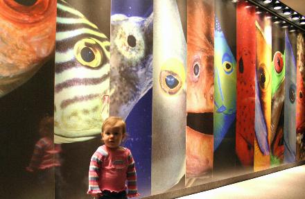 At the Baltimore Aquarium.  She loved it.  She kept watching the fishes and having a great time.